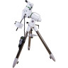 Монтировка SKY-WATCHER EQ6-R SYNSCAN GOTO со стальной треногой 69812